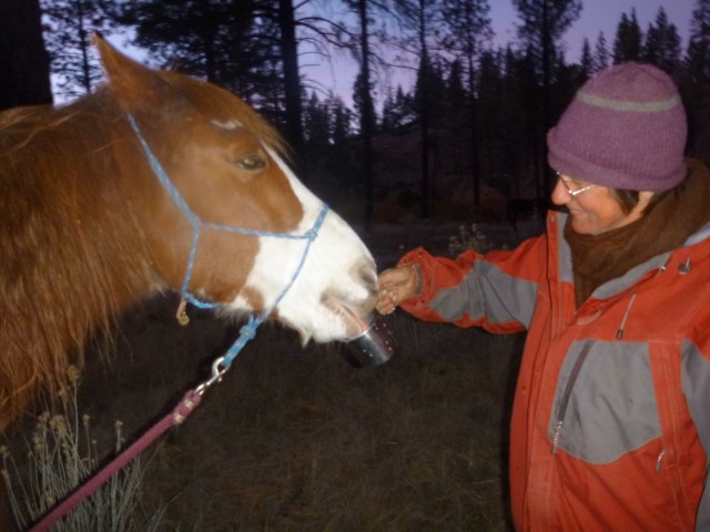 Cup o'Tea? (He lapped up the whole thing!)