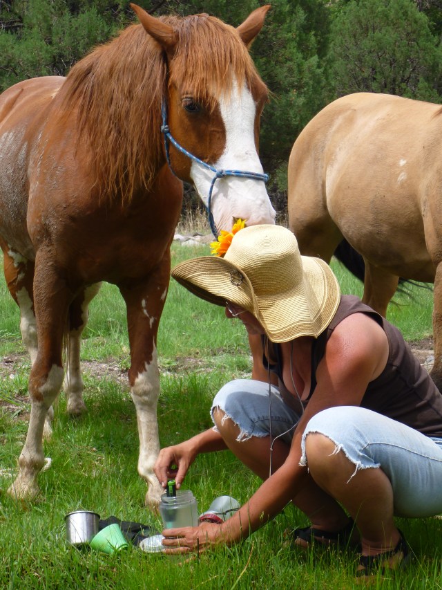 Summer in the Wilderness