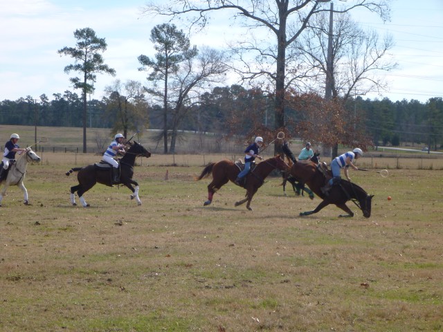 This horse stumbled but did Not go down.