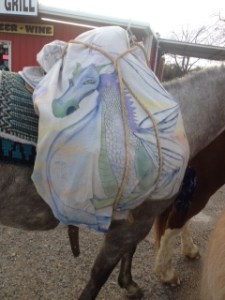 wizard's cloak by Gryph