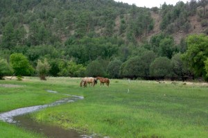 WeFoundFriendsByTheRiver