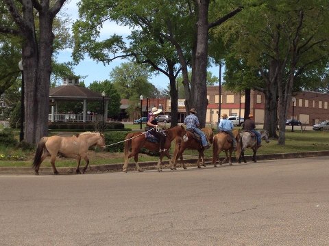 521779_592680764076978_880108104_n[1]