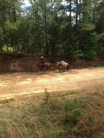 554152_10201087141285123_800116536_n[1]