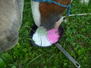 a smorgasboard of minerals to choose from