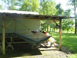 my own little corner of paradise 