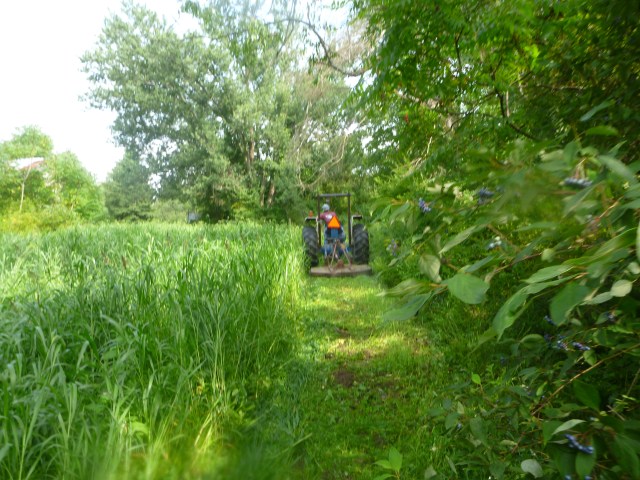 this brush hog was friendlier than the last