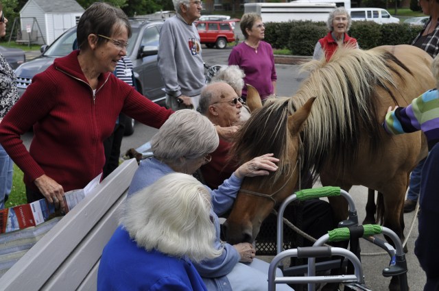 Geiser Horses 009_edited-1