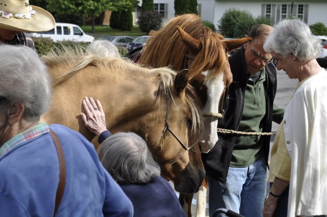 Geiser Horses 010_edited-1