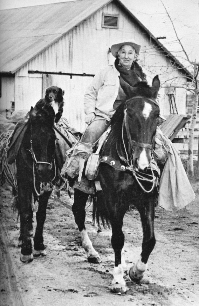 Mesannie Wilkins with Rex, Tarzan and Depeche Toi