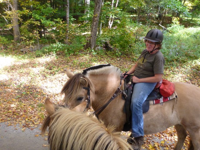 the meeting of the Fjords!