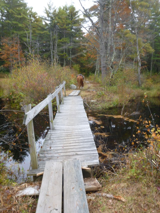 look Finehorn, Jesse made it across ok!
