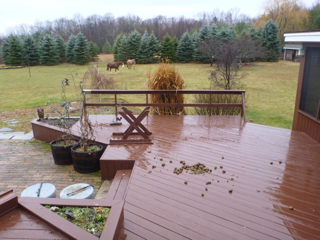 Finehorn's commentary 