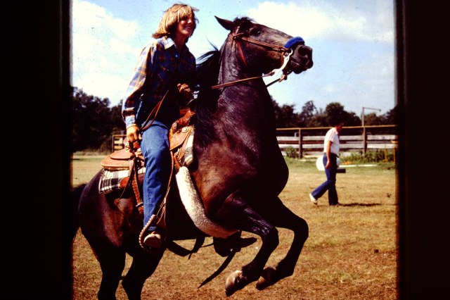 My beautiful picture