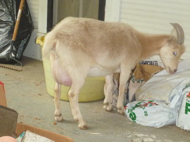 Spot on the front porch 