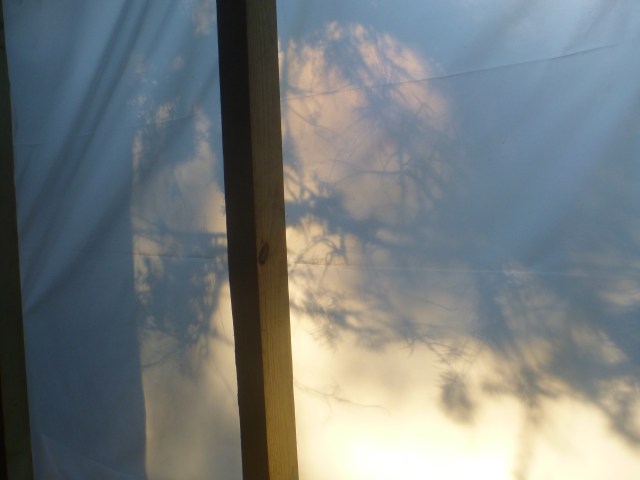 the dining room 'windows' at dusk