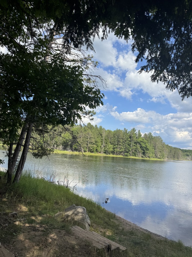 A tranquil lakeside scene featuring calm water reflecting trees and clouds, framed by overhanging branches and grass on the shore.